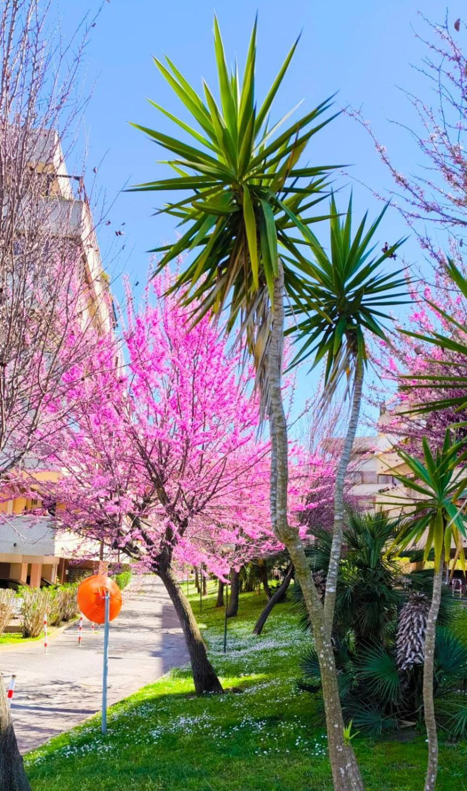 Rome Sweet Home Vitinia Ngoại thất bức ảnh