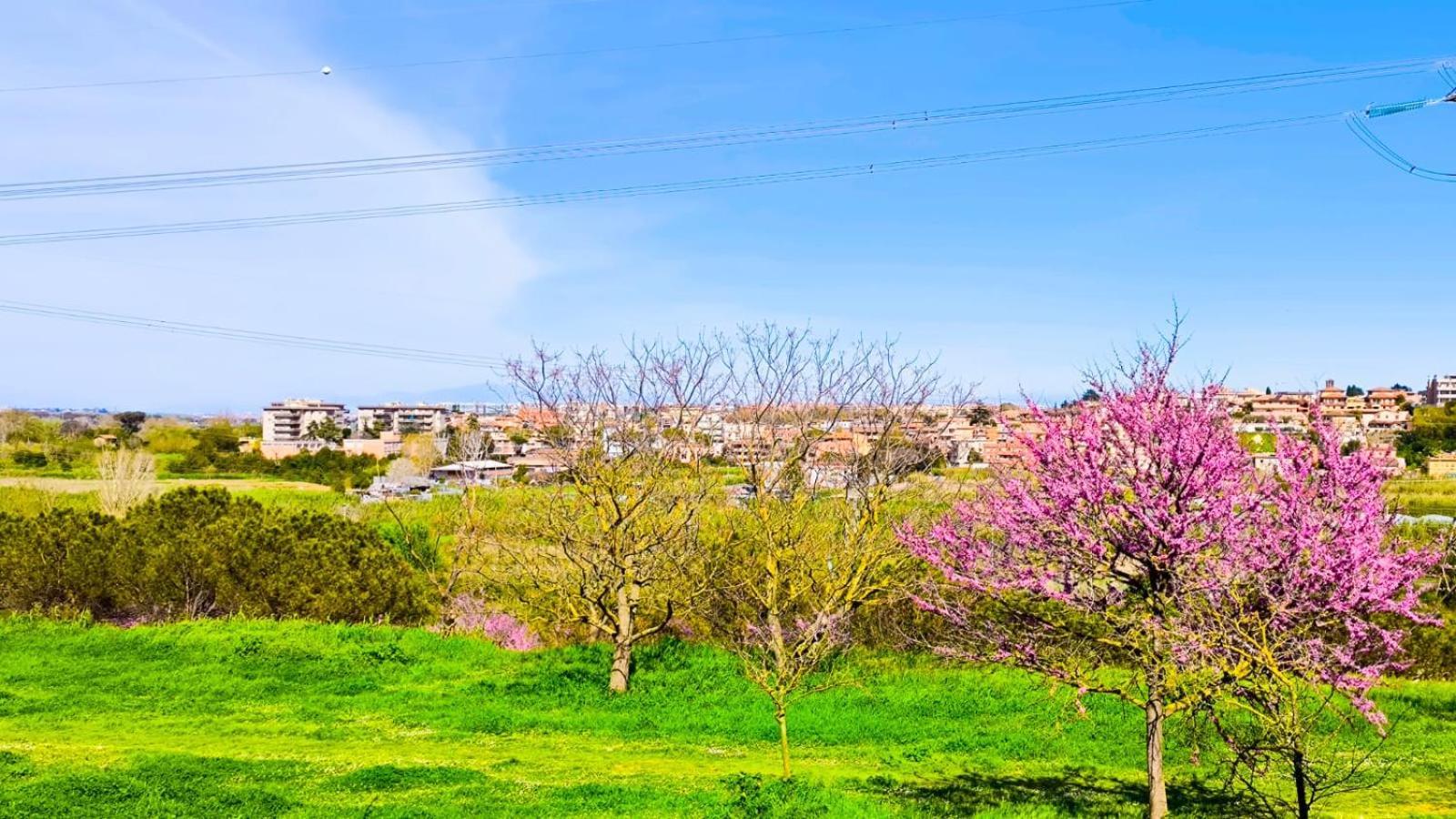Rome Sweet Home Vitinia Ngoại thất bức ảnh