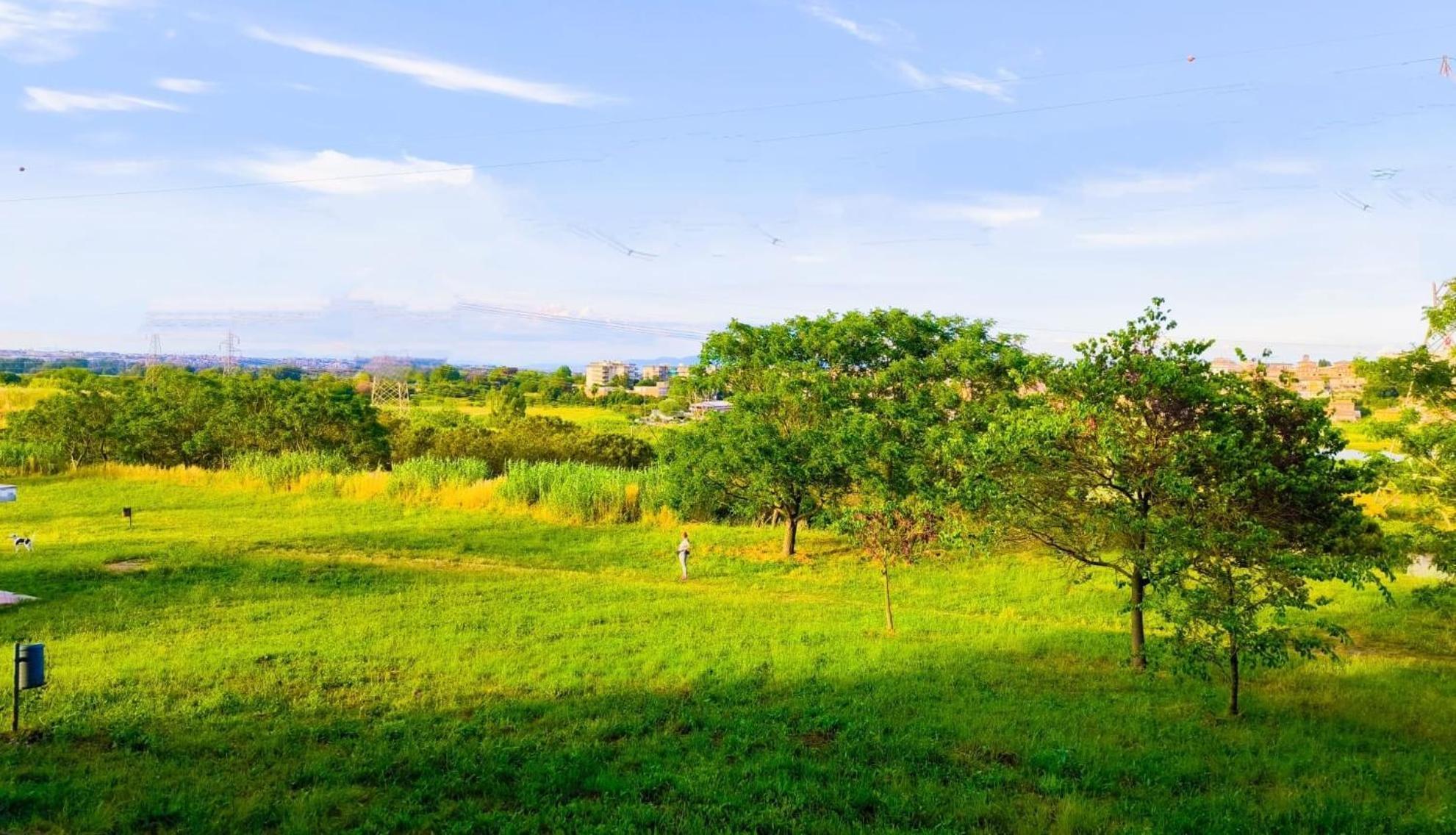 Rome Sweet Home Vitinia Ngoại thất bức ảnh