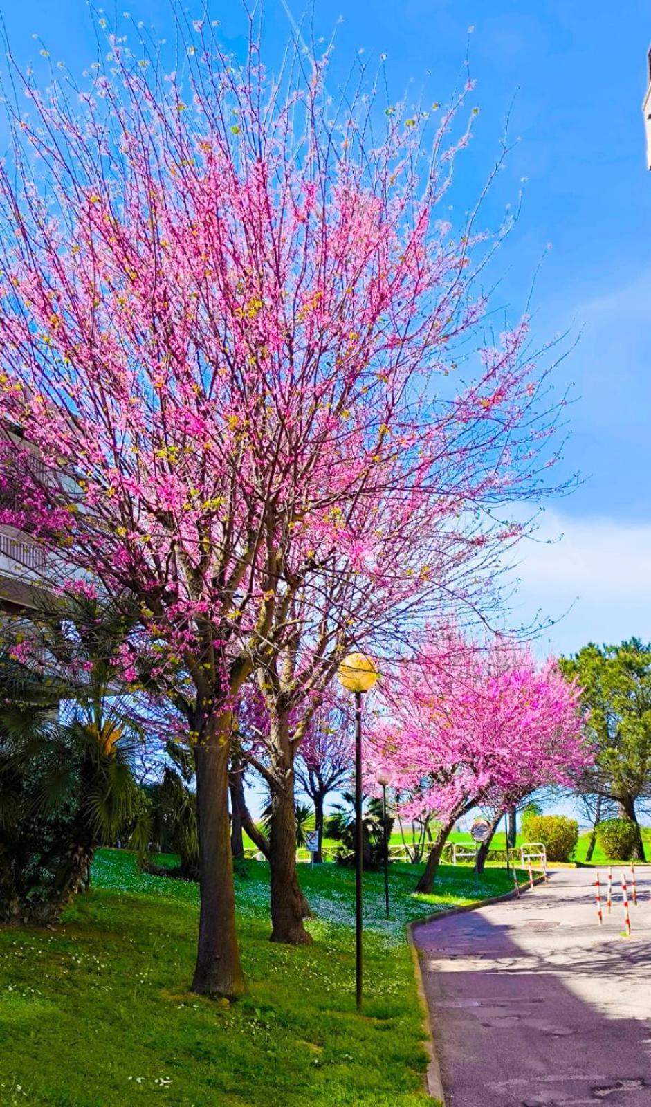 Rome Sweet Home Vitinia Ngoại thất bức ảnh